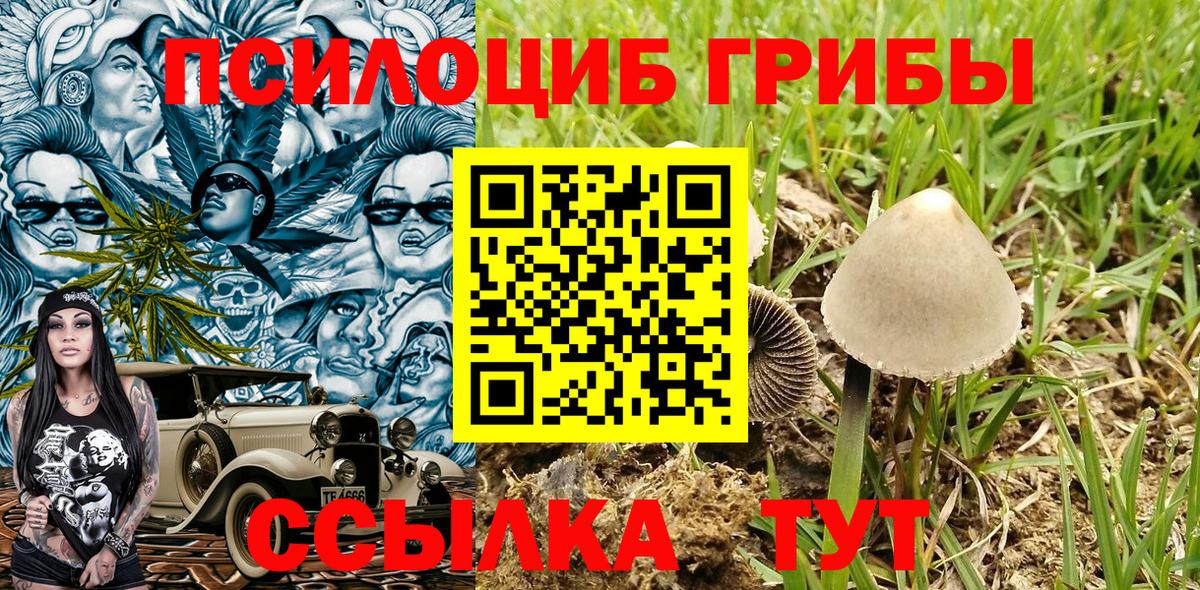 Иваново  Галлюциногенные грибы Magic Shrooms  Вход с VPN  Галлюциногенные грибы прущие грибы 
